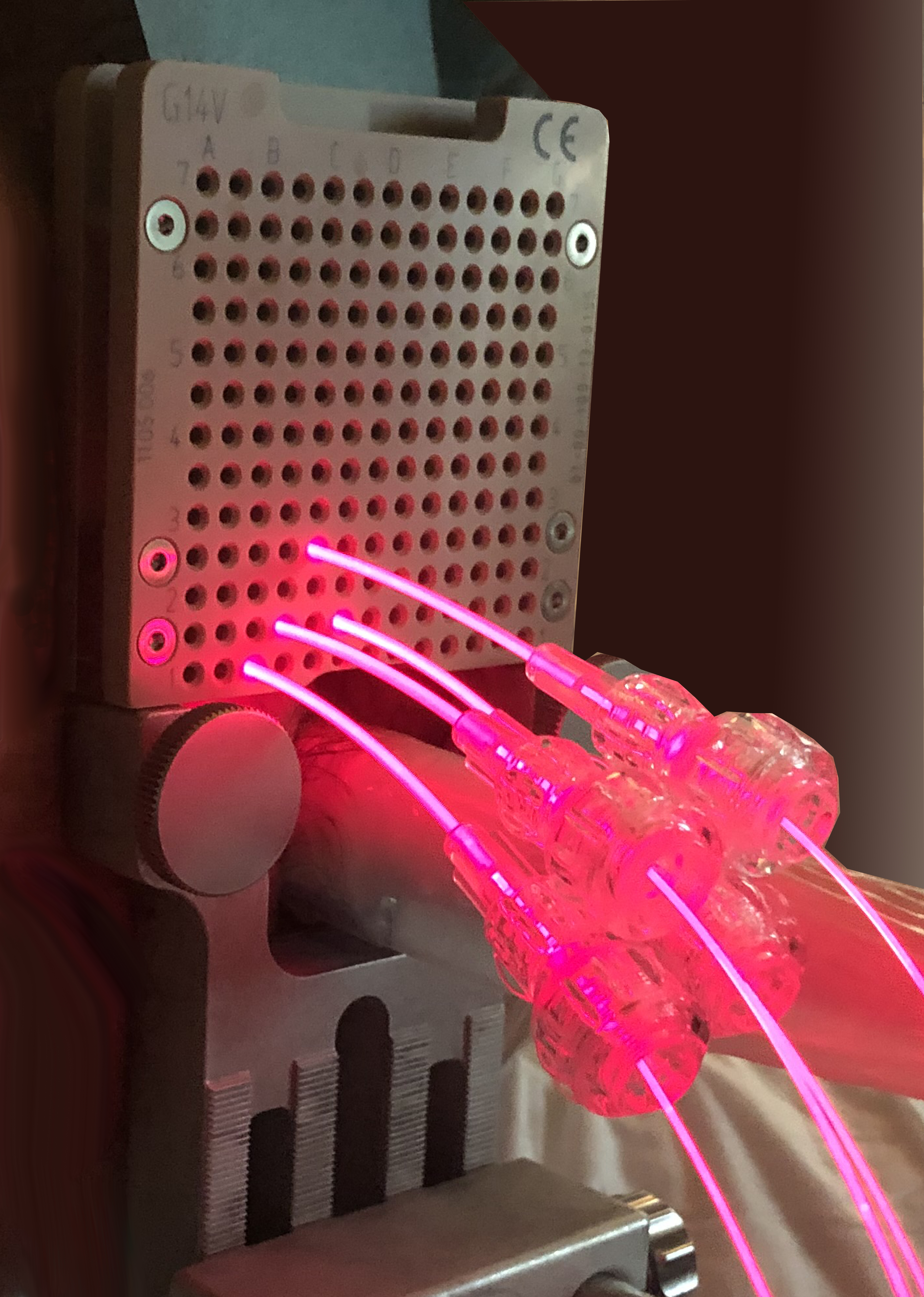 Photodynamische Therapie mittels Chlorin E6 